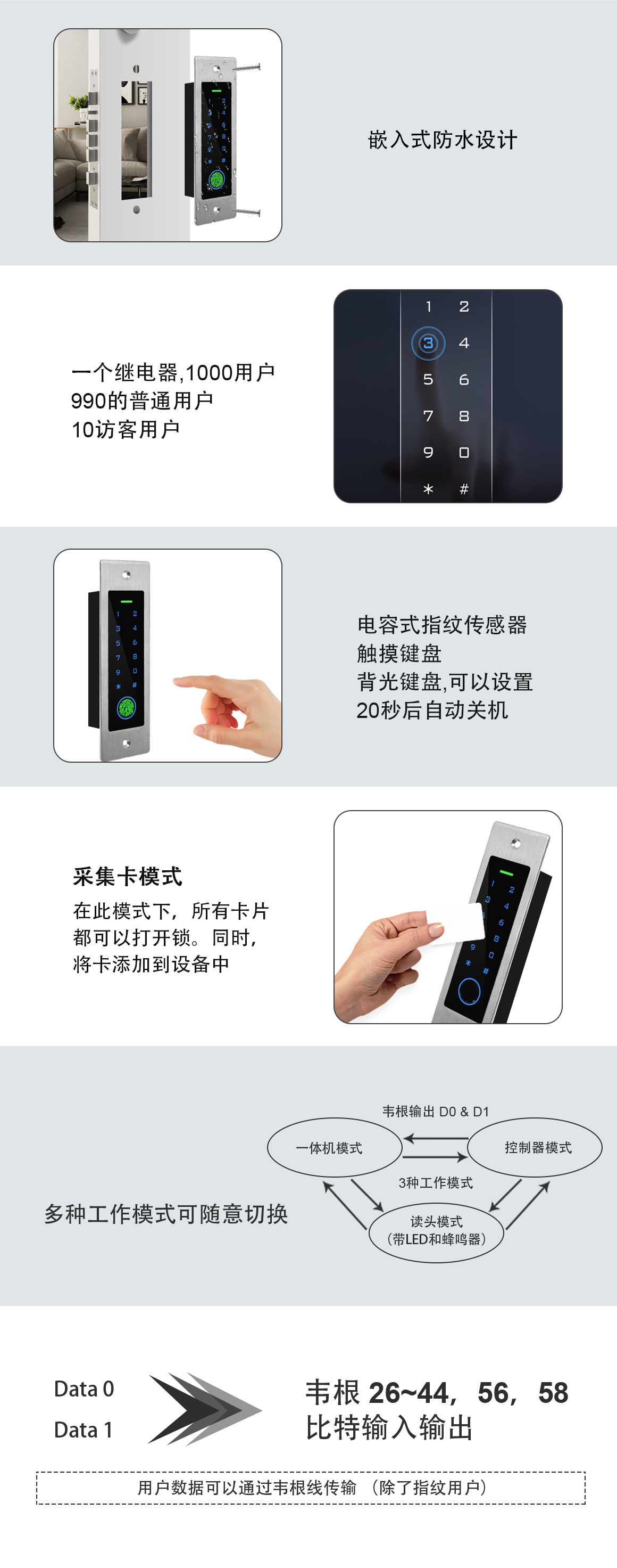 中文(wén)網站(zhàn).jpg